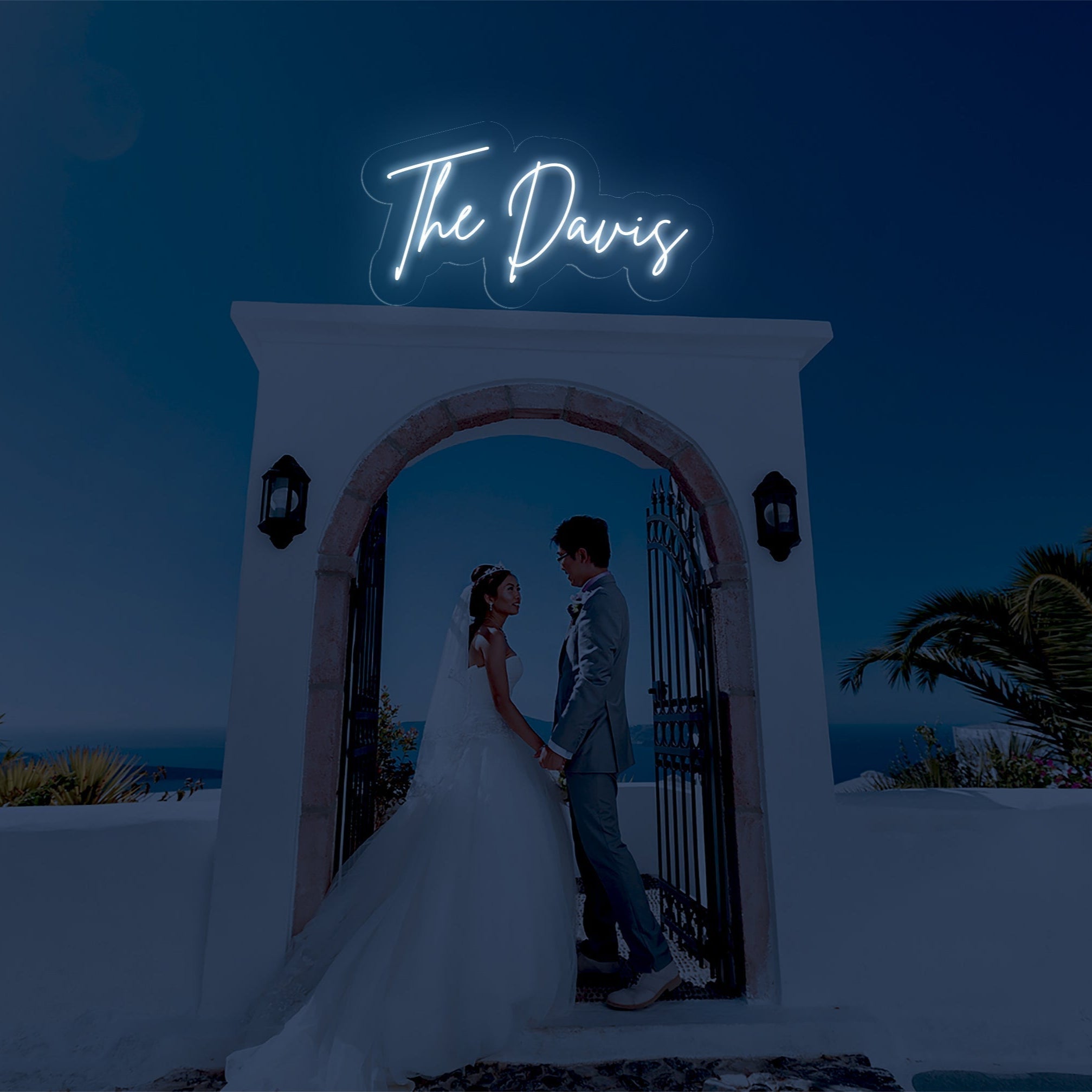 The Davis - LED Neon Family Name Wedding Sign