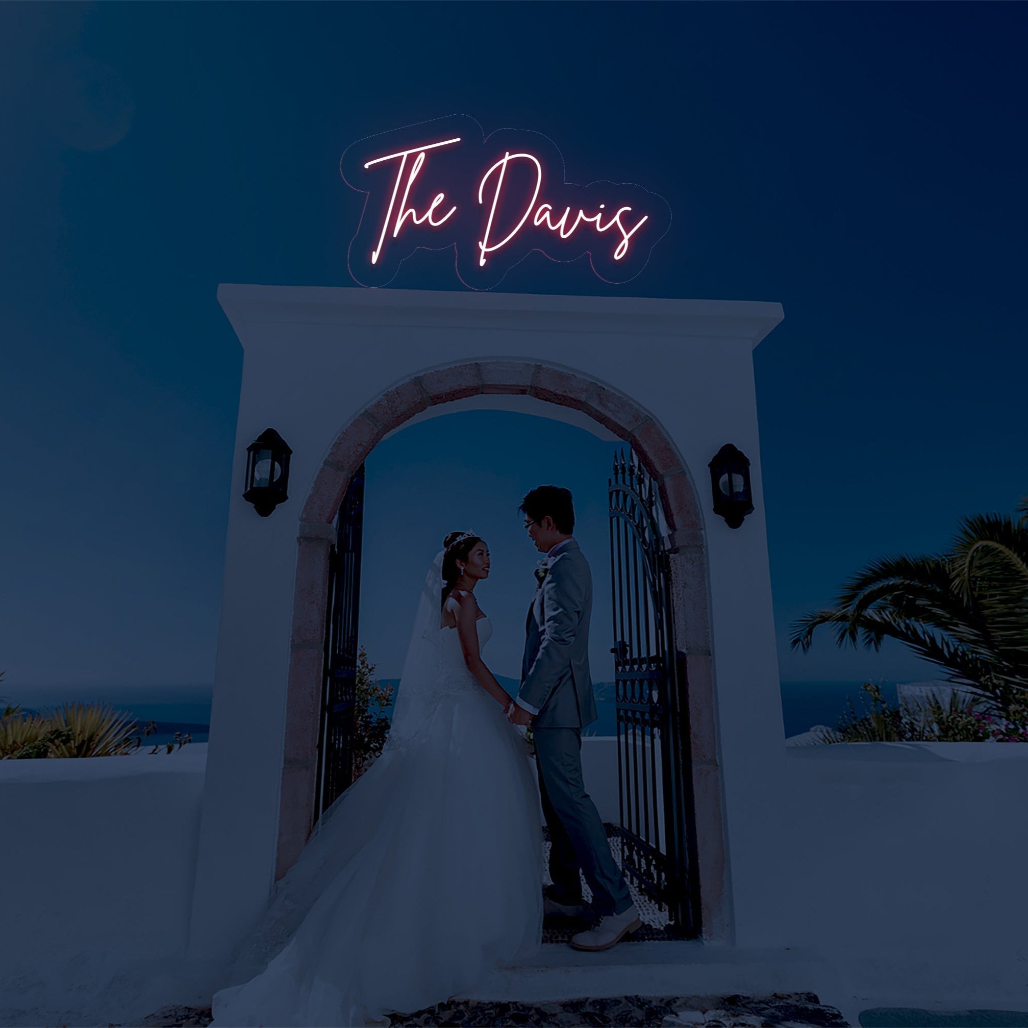 The Davis - LED Neon Family Name Wedding Sign