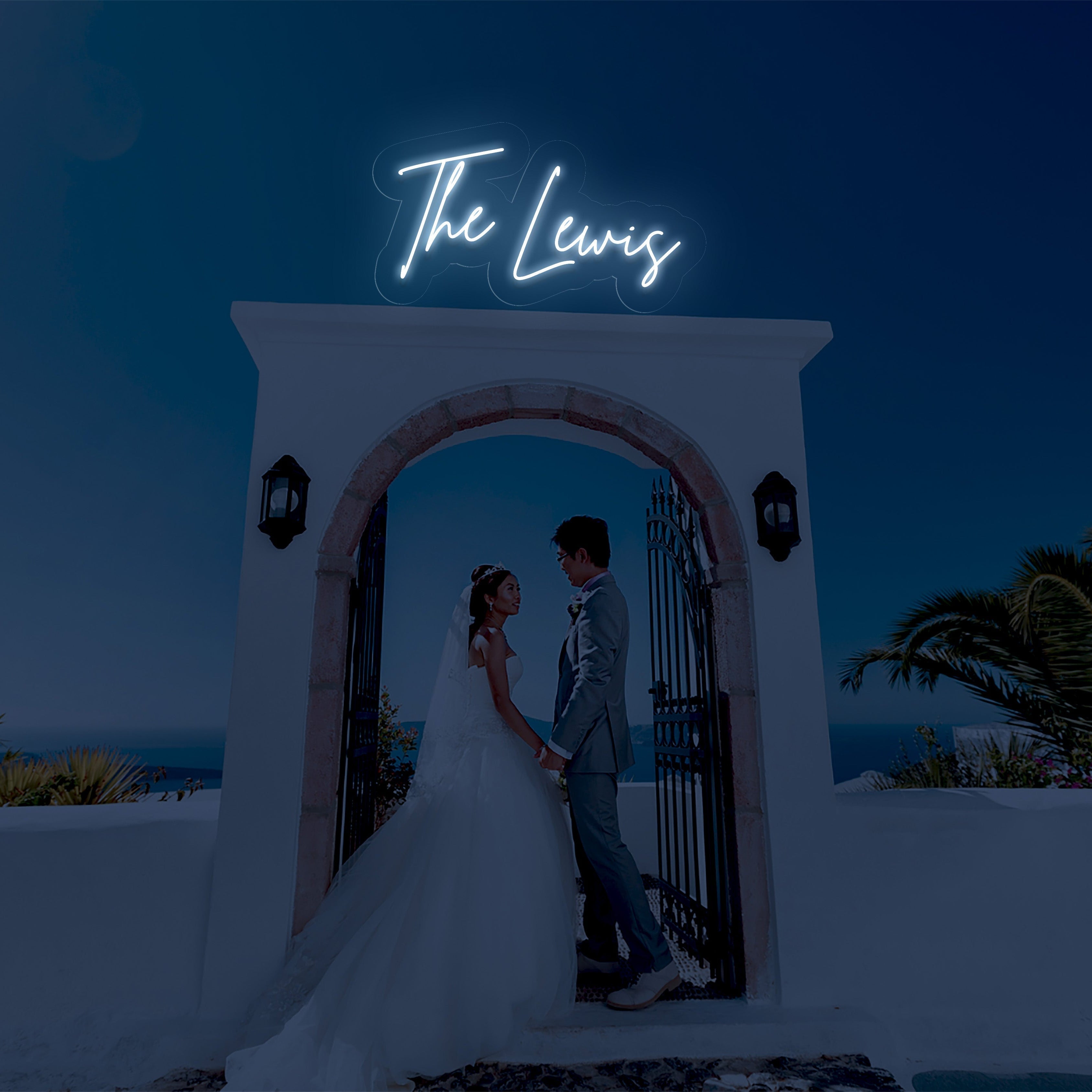 The Lewis - LED Neon Family Name Wedding Sign